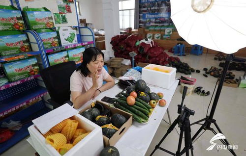 沂南发展设施农业 助力乡村振兴